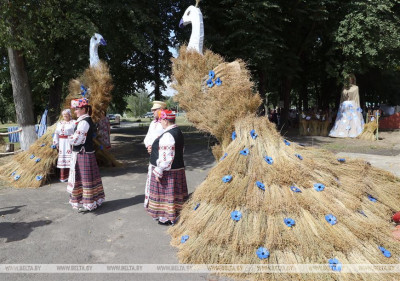 "Льняная карусель" в Корме
